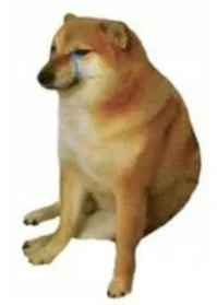 sad doge