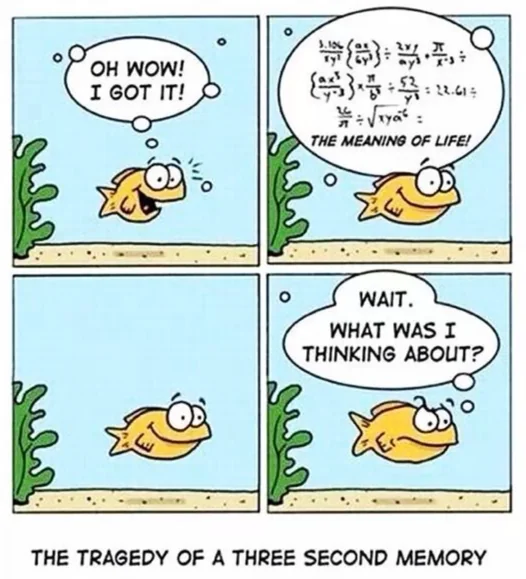 Fish Memory Comic